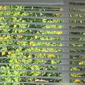 Meet your Posher, Nanako